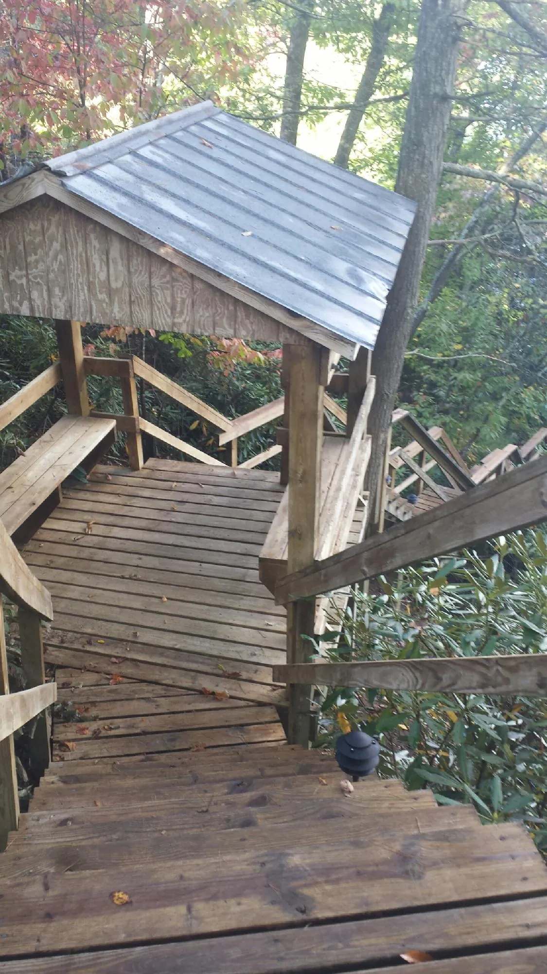 Metal roofed shelter over wooden steps on a wooded walkway — Skylight Repair & Installation work by our crew in Timnath