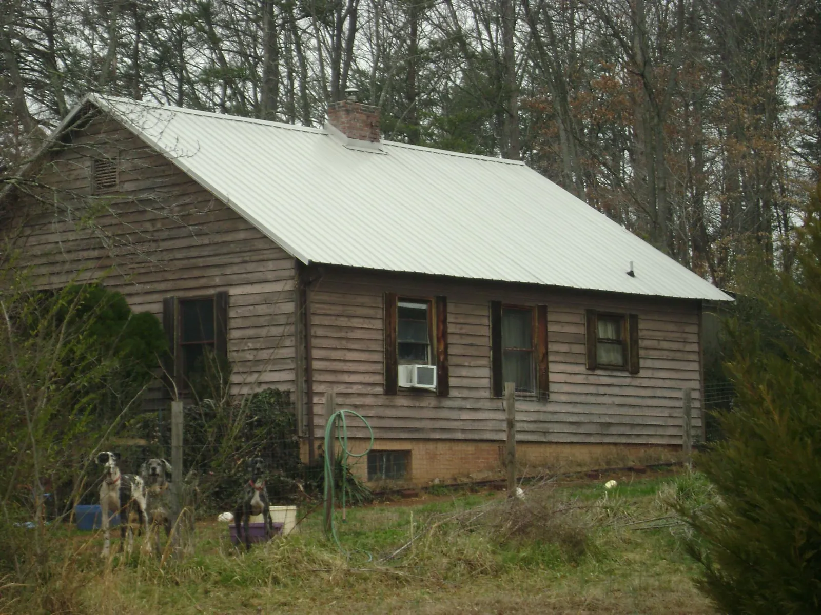 White metal roof on an old wood sided farmhouse, from a Asphalt Shingle Roof Repair job in Timnath